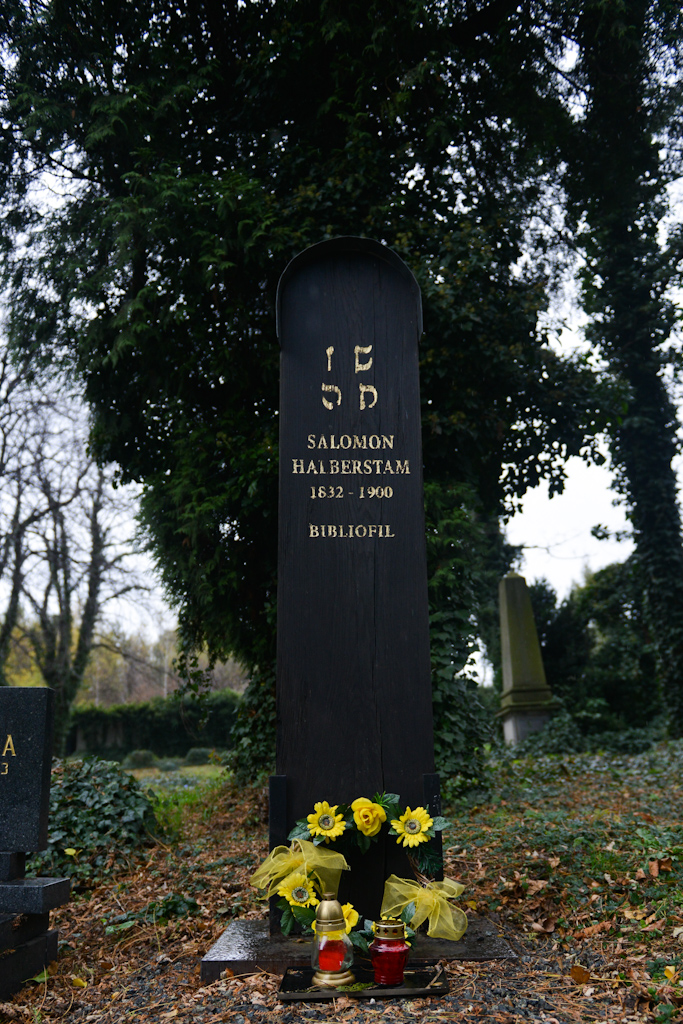 Stary cmentarz żydowski Bielsku-Białej, 03.11.2013
