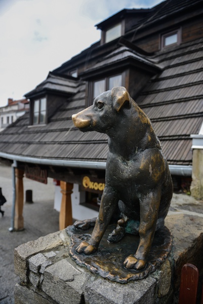 Kazimierz Dolny nad Wisłą, rzeźba psa koło Rynku