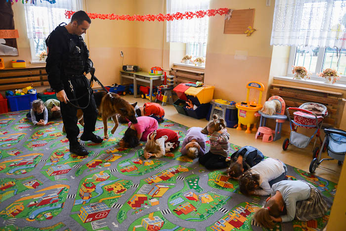 Pies policyjny i przewodnik w trakcie zajęć w przedszkolu