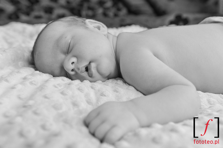Spiace niemowle fotografia