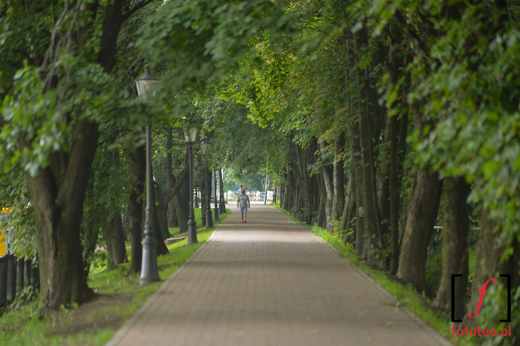 Park w Goczałkowicach-Zdroju