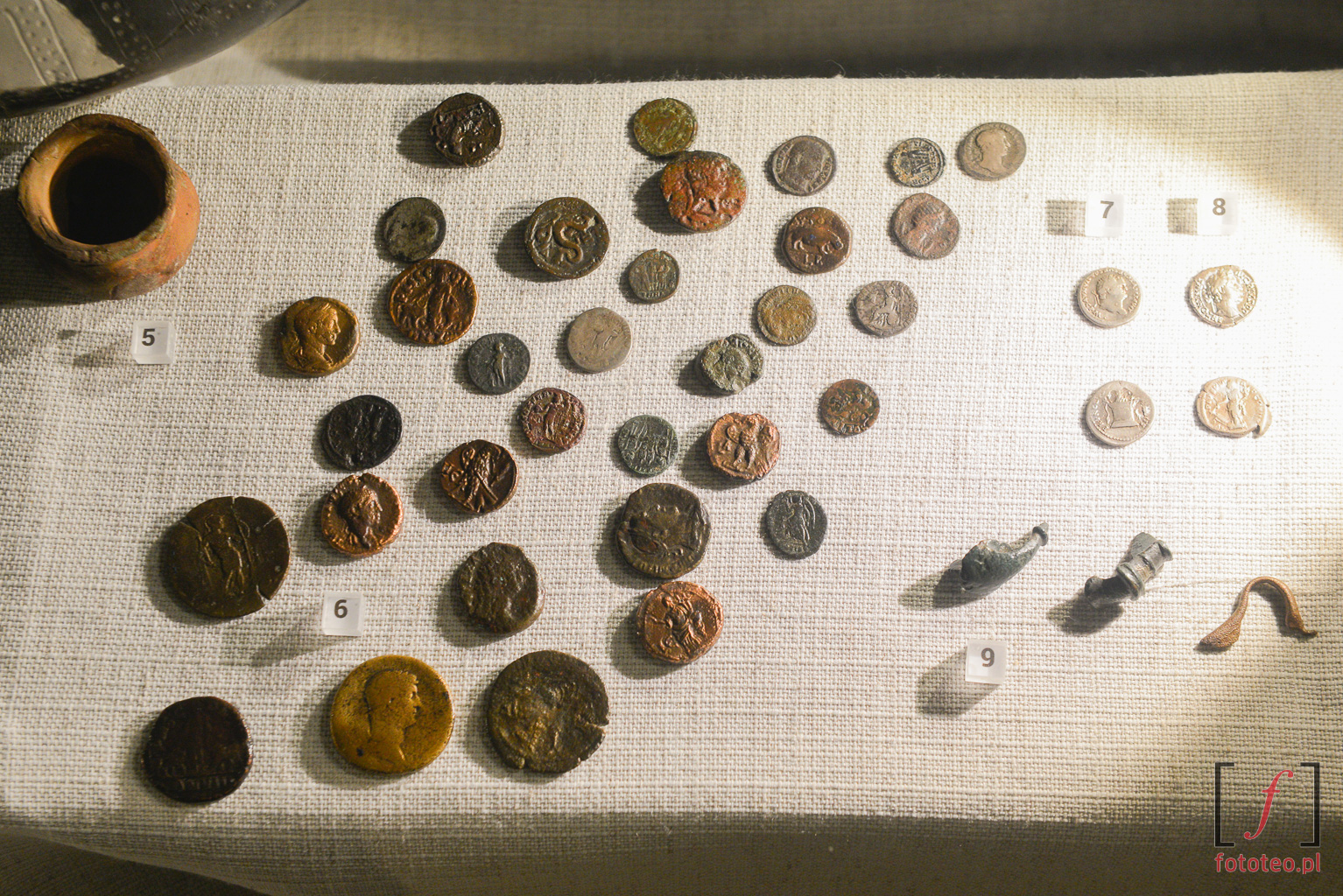 Monety znalezione na Śląsku. Fotografia Katowice