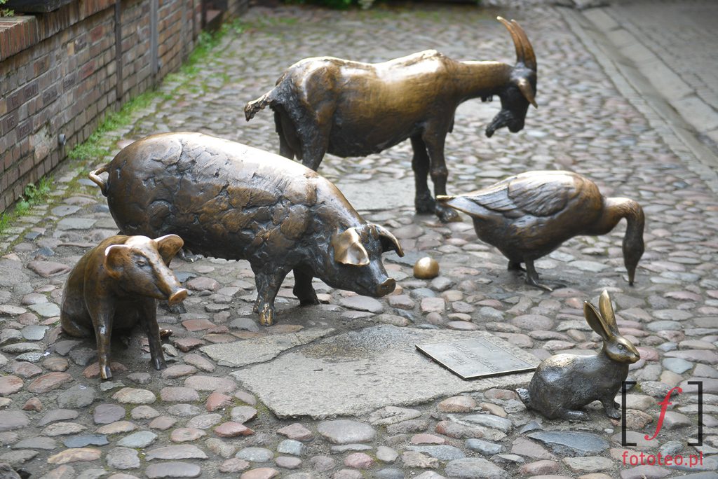 Wrocław pomnik zwierząt rzeźnych